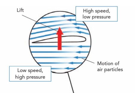 <p>Due to the shape of a wing, air particles that pass over it, where the surface is curved, are forced to move more rapidly than those that pass below the wing, where the surface is flat. The pressure is thus greater below the wing than above, and the wing is subjected to an upward force called lift.</p>