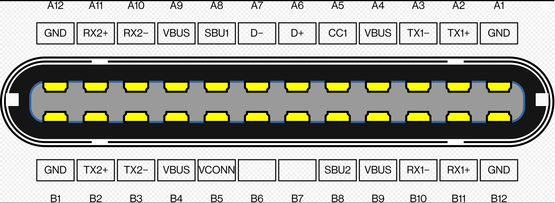 <p>USB Type C</p><ul><li><p>has 24 pins and is double sided</p></li><li><p>supports USB 2.0, USB 3.x (3.1 or 3.2), and USB 4</p></li><li><p>can transmit video (Display port, HDMI), Thunderbolt, and power</p></li></ul><p></p>
