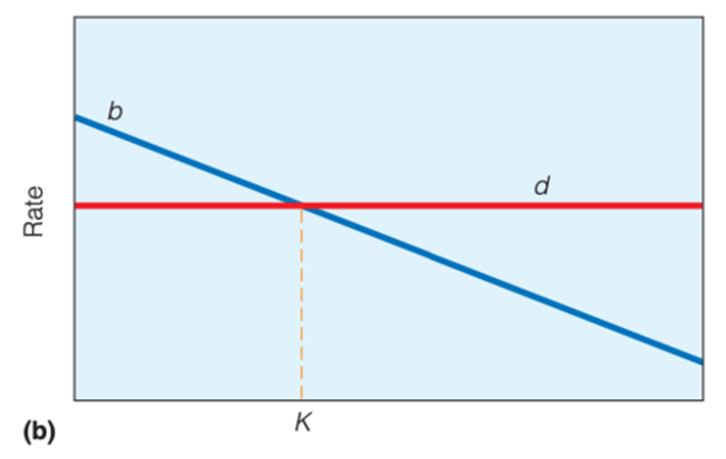 <p>TREND:</p><p>- as population density ↑ then fecundity ↓</p><p>---------------</p><p>BOOK NOTES</p><p>- Mortality is independent, but birthrate declines with population size. </p><p>- At K, a decreasing birthrate maintains equilibrium.</p>