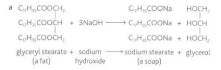 <p>Identify this image</p>