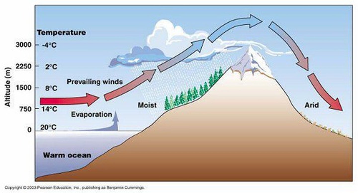 <p>Dry area on leeward side of mountains.</p>