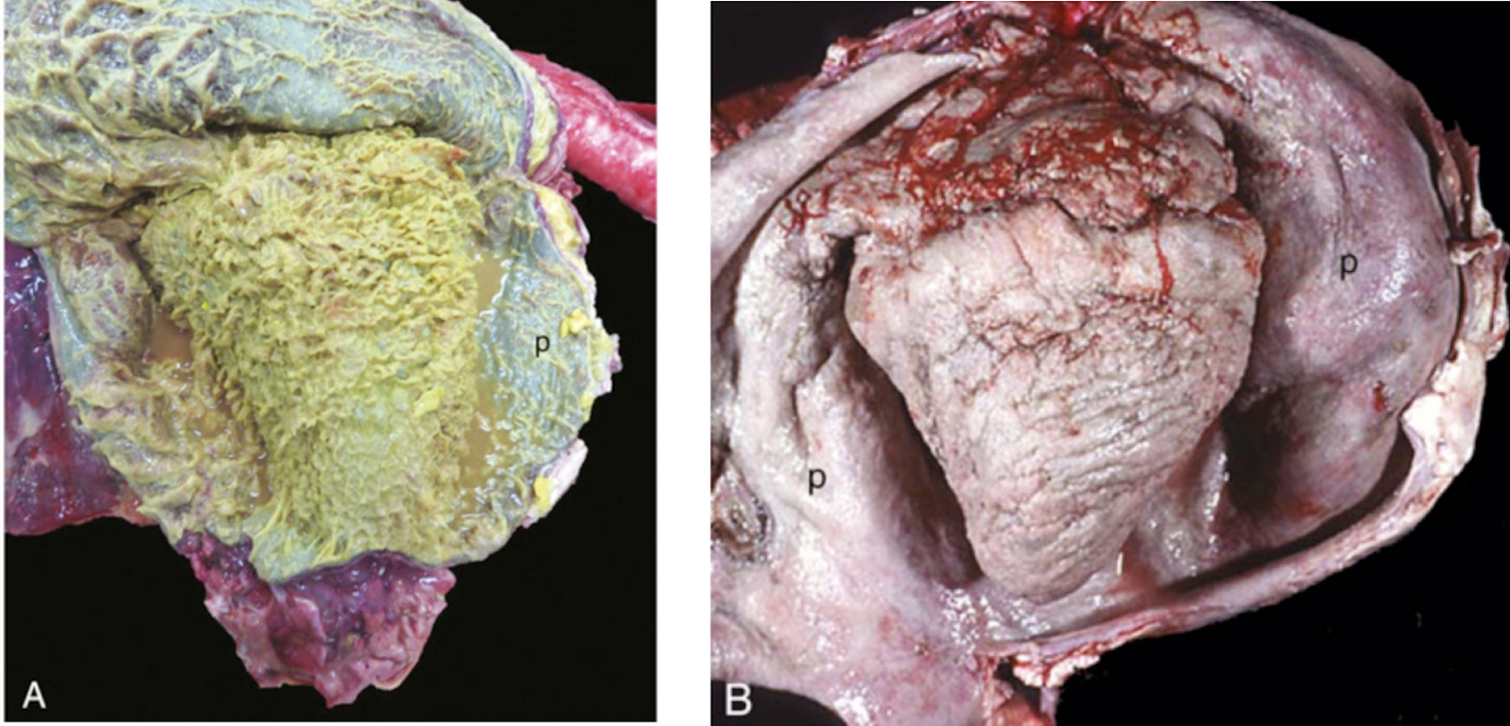 <p>What is this showing?</p>