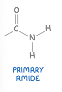 <p><span><strong><span>These are amides where the nitrogen atom is bonded to one carbonyl group (C=O) and two hydrogen atoms</span></strong></span></p>