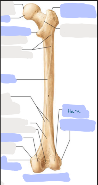 <p>What is here?</p>
