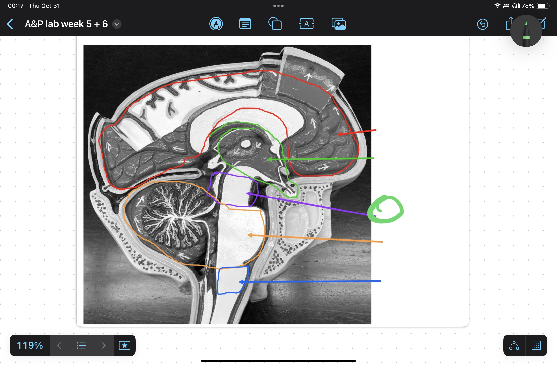 knowt flashcard image