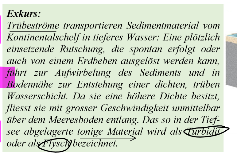 <ul><li><p>transportieren Sedimentmaterial vom Kontinentalschelf in tieferes Wasser</p></li><li><p>Auslöser: plötzliche Rutschung oder Erdbeben</p><ul><li><p>dann strömen die Sedimente aufgrund ihrer höheren Dichte in die Tiefe</p></li></ul></li></ul>
