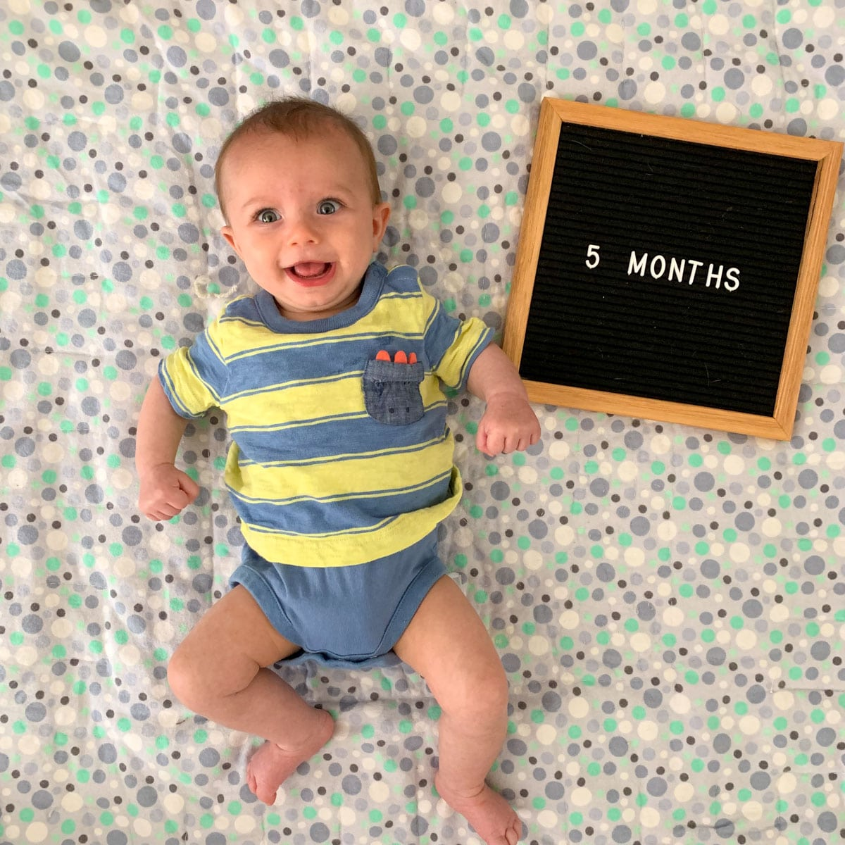 <p>what happens by 5mos old</p><p></p>