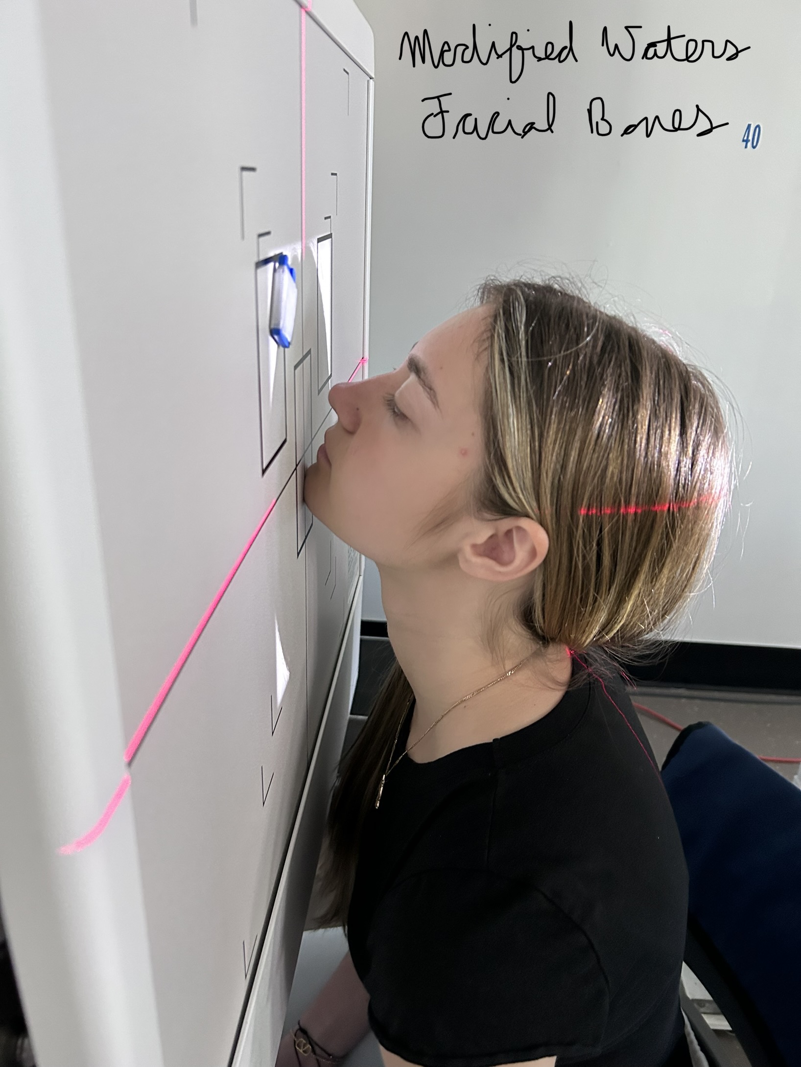 40” SID, 8” x 10” lw collimation, tip of chin in contact with IR, OML in 55º relationship with IR, central ray exiting through acanthion