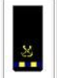 <p>One gold 1/2-inch stripe with three blue breaks below a specialty insignia</p>