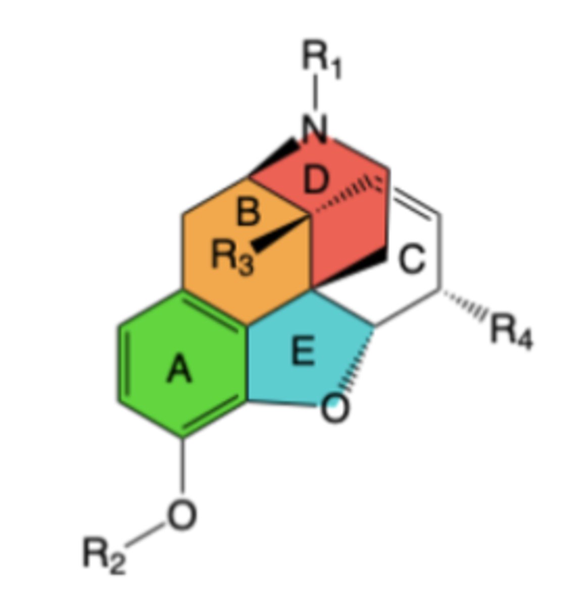 <p>Structure-Activity Relationships (SAR) of mu-Agonist Morphine Congeners</p>