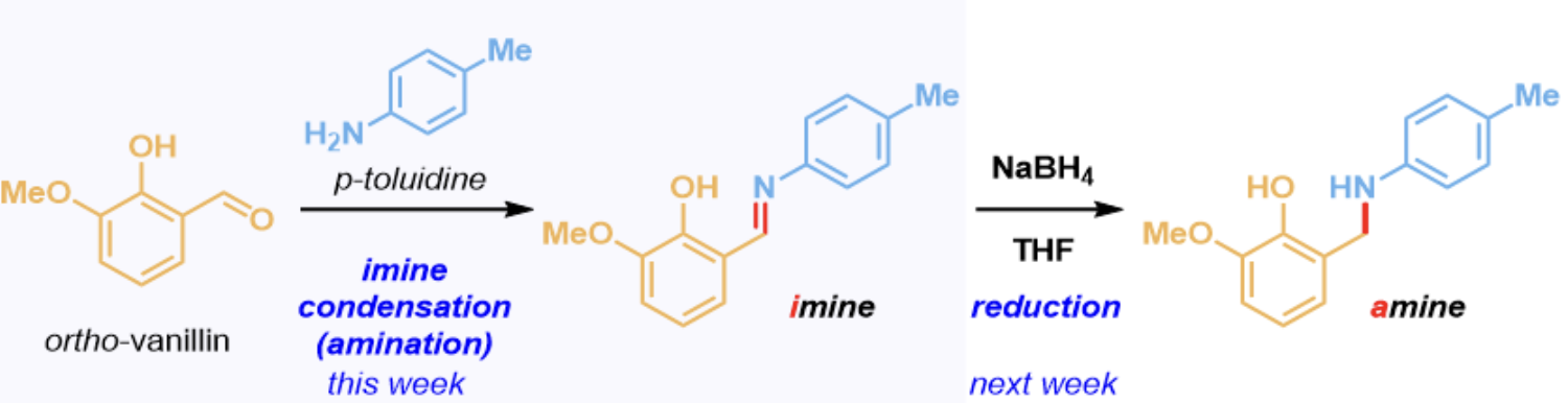 <p>two-step reductive amination: imine condensation between o-vanillin and p-toluidine to form an imine product where the oxygen on the carbonyl fragment is substituted with the nitrogen from the amine </p>