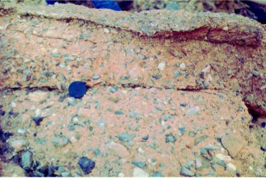<p>Slurry like flows in which large particles are set in fine-grained matrix. Matrix has yield strength that helps to support grains. It lubricates grain irregularities so debris flows can occur on gentle slopes. Coarser grains carried on top</p><p>seen commonly in continental margins (subaqueous)</p>