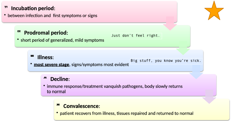 Incubation Period 

Prodromal Period 

Illness 

Decline 

Convalescence 

\
*See image for details*