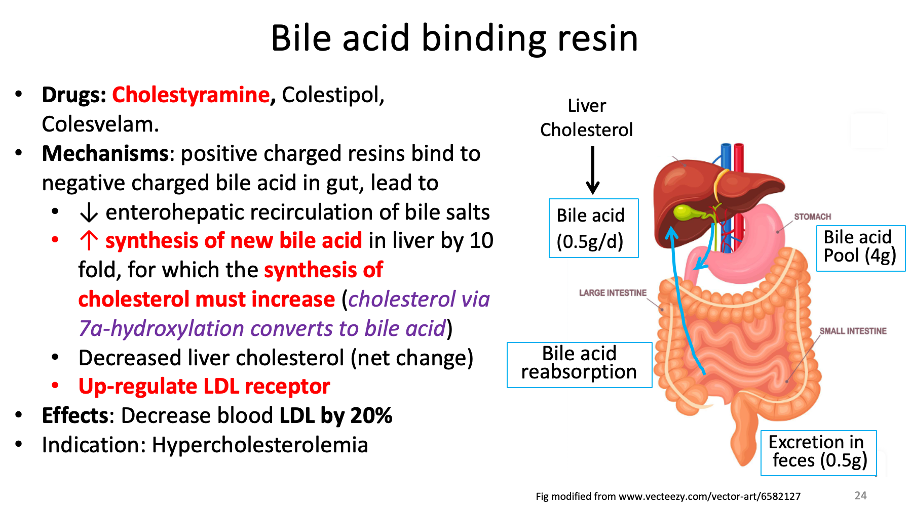 <p>Bile acid binding resin </p><p></p><p><span>•<strong>Mechanisms</strong>: positive charged resins bind to negative charged bile acid in gut, lead to</span></p><p><span>•↓ enterohepatic recirculation of bile salts</span></p><p><span>•↑ <strong>synthesis of new bile acid </strong>in liver by 10 fold, for which the <strong>synthesis of cholesterol must increase </strong>(<em>cholesterol via 7a-hydroxylation converts to bile acid</em>)</span></p><p><span>•Decreased liver cholesterol (net change)</span></p><p><span>•<strong>Up-regulate LDL receptor</strong></span></p><p><span>•<strong>Effects</strong>: Decrease blood <strong>LDL by 20%</strong></span></p><p><span>•Indication: Hypercholesterolemia</span></p><img src="https://knowt-user-attachments.s3.amazonaws.com/4983c3e4-34c6-4464-899e-7ffa19a40bf9.png" data-width="100%" data-align="center"><p></p>