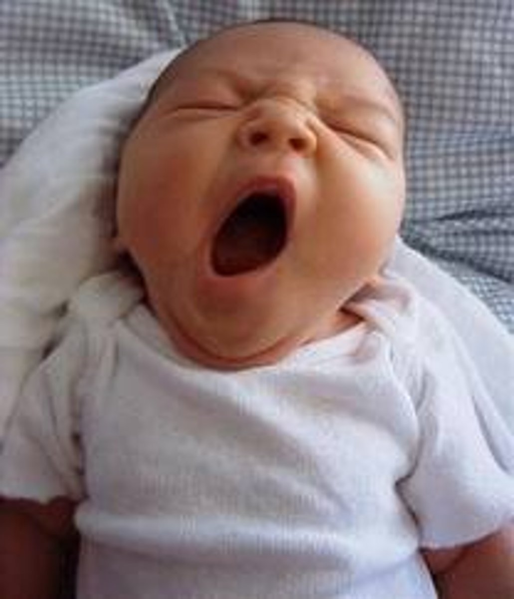 <p>to yawn</p>
