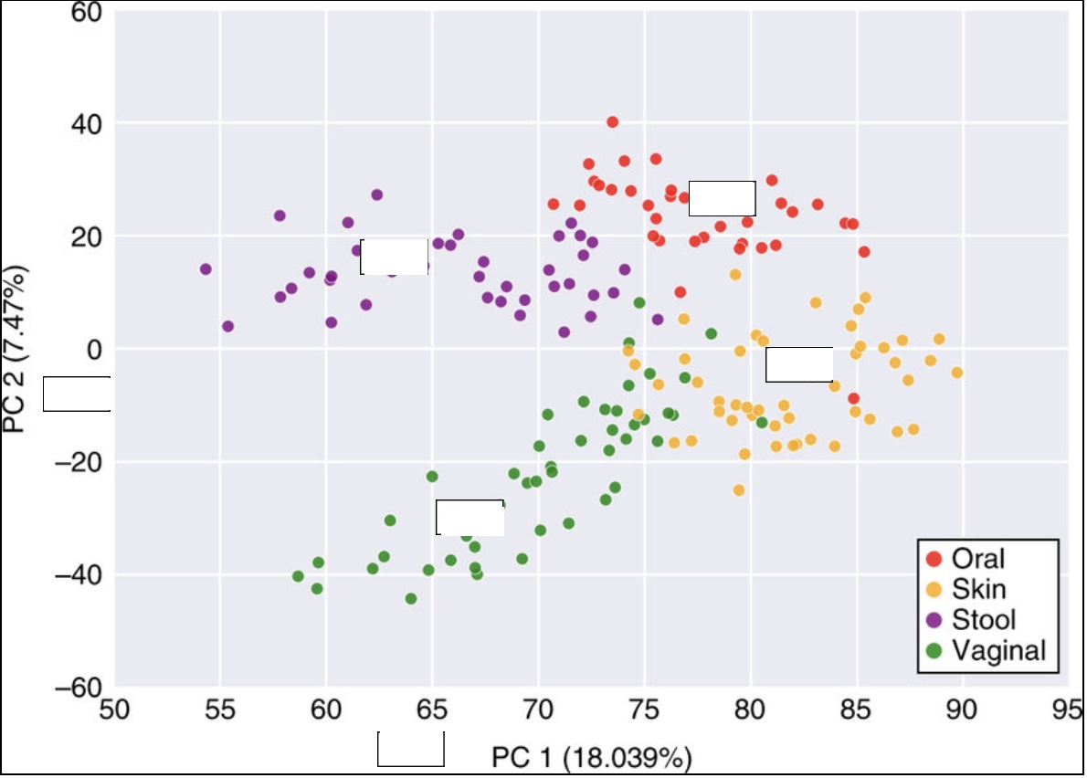 <p>Fill in: x axis, yaxis, skin, stool, oral, vaginal</p>