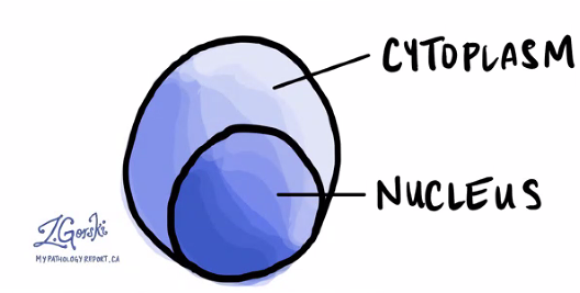 <p>What is shown?</p>
