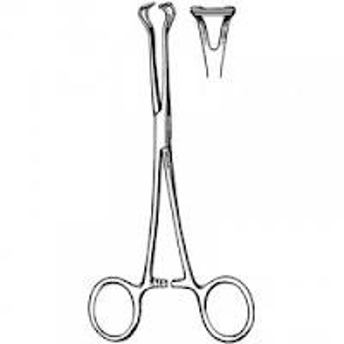 <p>Similar in shape to Allis, Smooth grasping surface, Considerably less traumatic, Reduced tissue security</p>