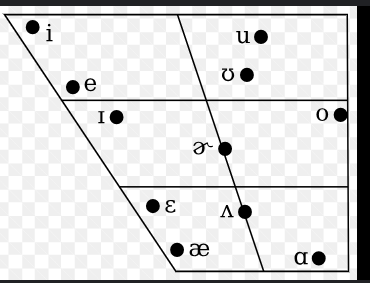<p>Representing the mouth shape and tongue position in cross-section.</p>