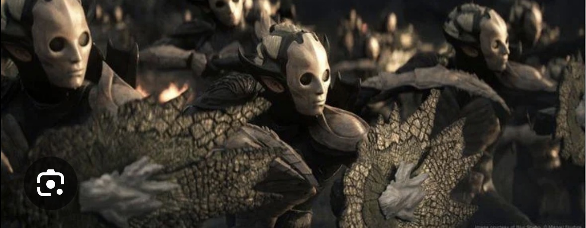 <p>What species is this?</p>