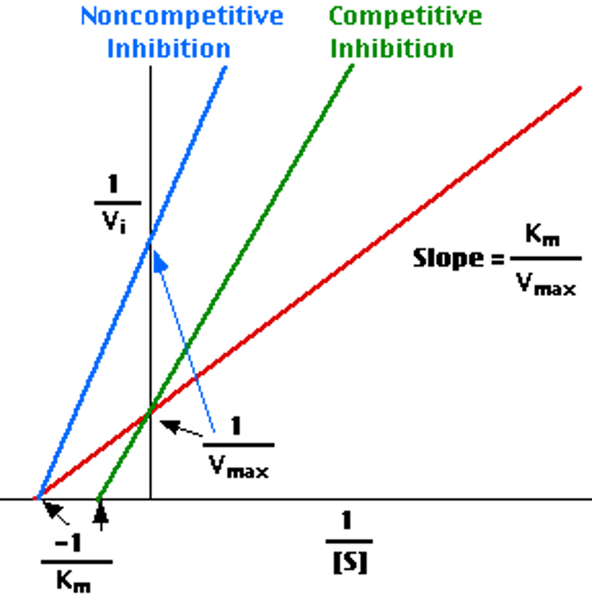 <p>decreased vmax, same km</p><p>inhibitor binds at allosteric site</p><p>alters shape of active site, so vmax decreases</p><p>binds to enzyme and enzyme-substrate substrate with same affinity</p>