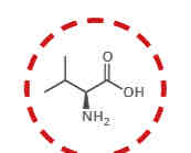 <p>What amino acid is this?</p>