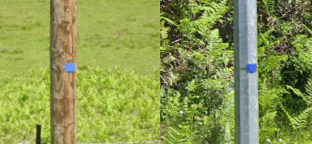 <p>Blue sticker/plates on poles</p>