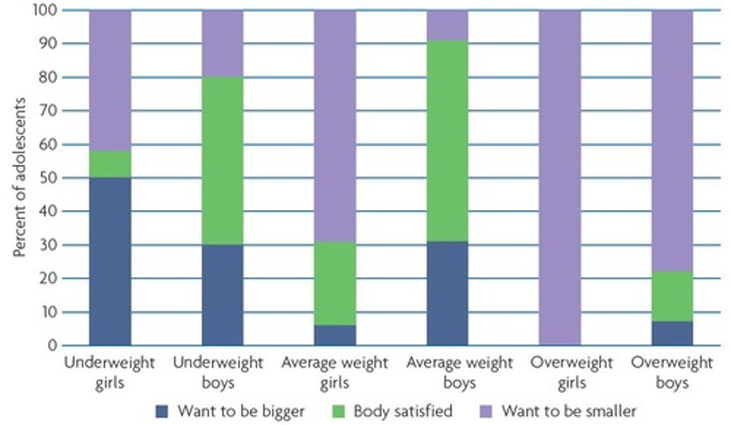 <p>Adolescents' perceptions of their physical appearance.</p>