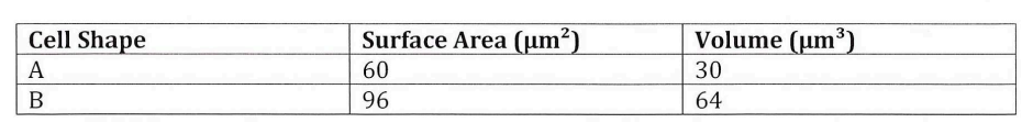 <p>What is the surface area of b</p>