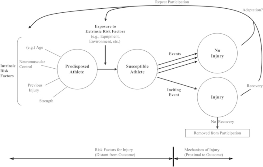 dynamic model of etiology in sport injury.

expands on 1994 model to reflect dynamic risk factors that are continually changing. specifically mentions the susceptible athlete engaging in several events with no injury which leads to adaptations and changes to internal risk factors. also adds that recovery from an injury also changes risk factors or that there can be non-recovery