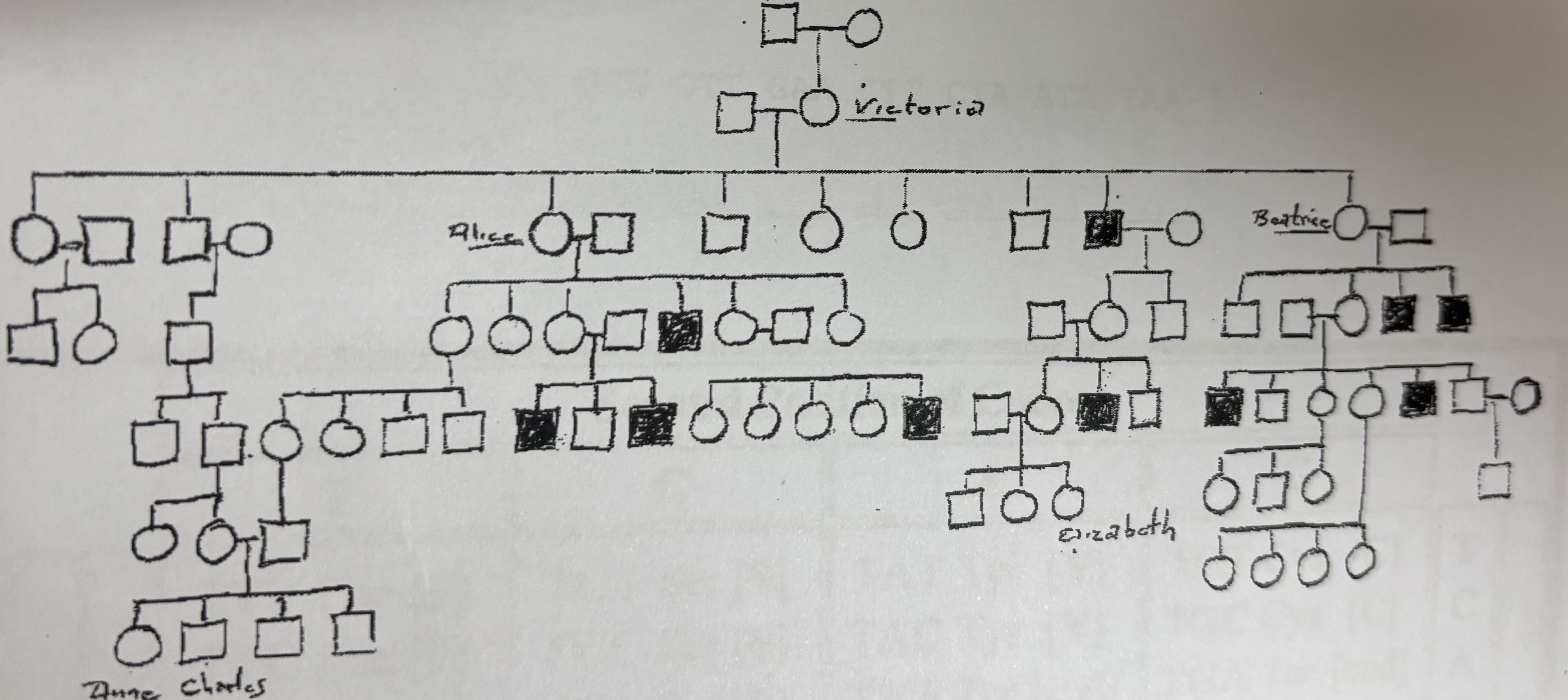 <p>Is Elizabeth a carrier?</p>