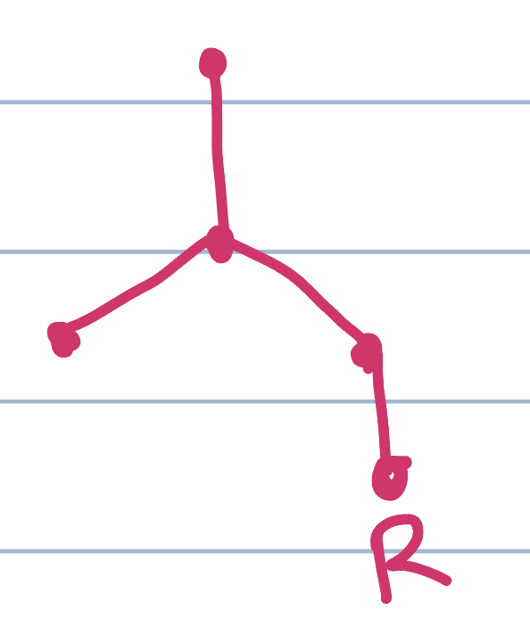 <p>LONGER FISHTAIL</p><ul><li><p>“iso” counts for alphabetizing </p></li></ul><p></p>