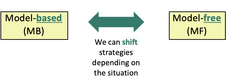 <p>YES - we can shift depending on the situation </p><ul><li><p>this shifting defines and effective animal - need to be able to use both </p></li><li><p>the more imminent the threat, the less flexible we become so will use MF </p></li></ul><p></p>
