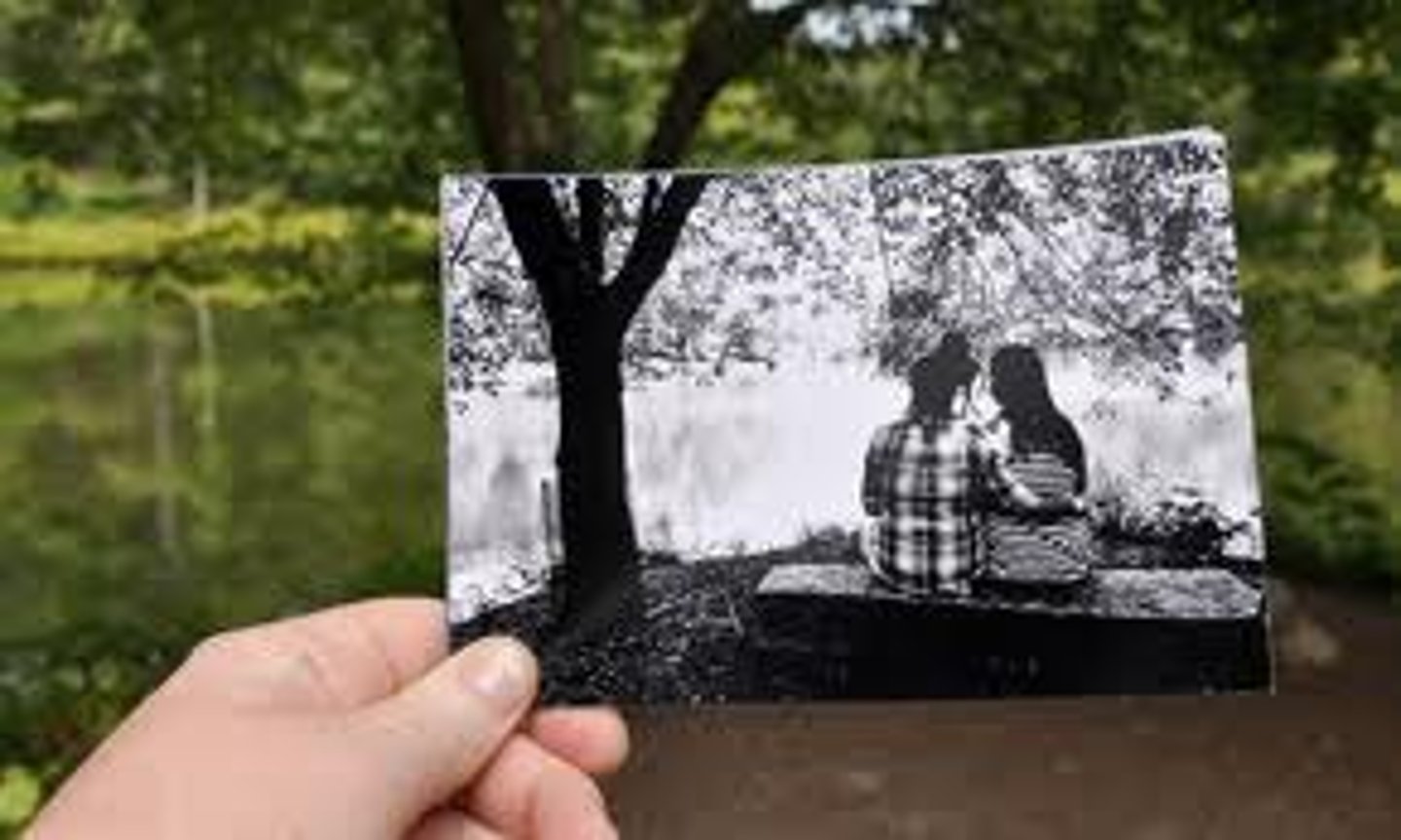 <p>photograph</p>