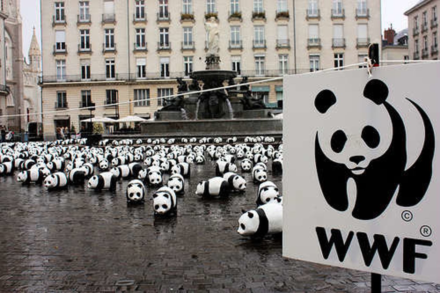 <p>A planned event designed to attract public attention or promote something.</p>