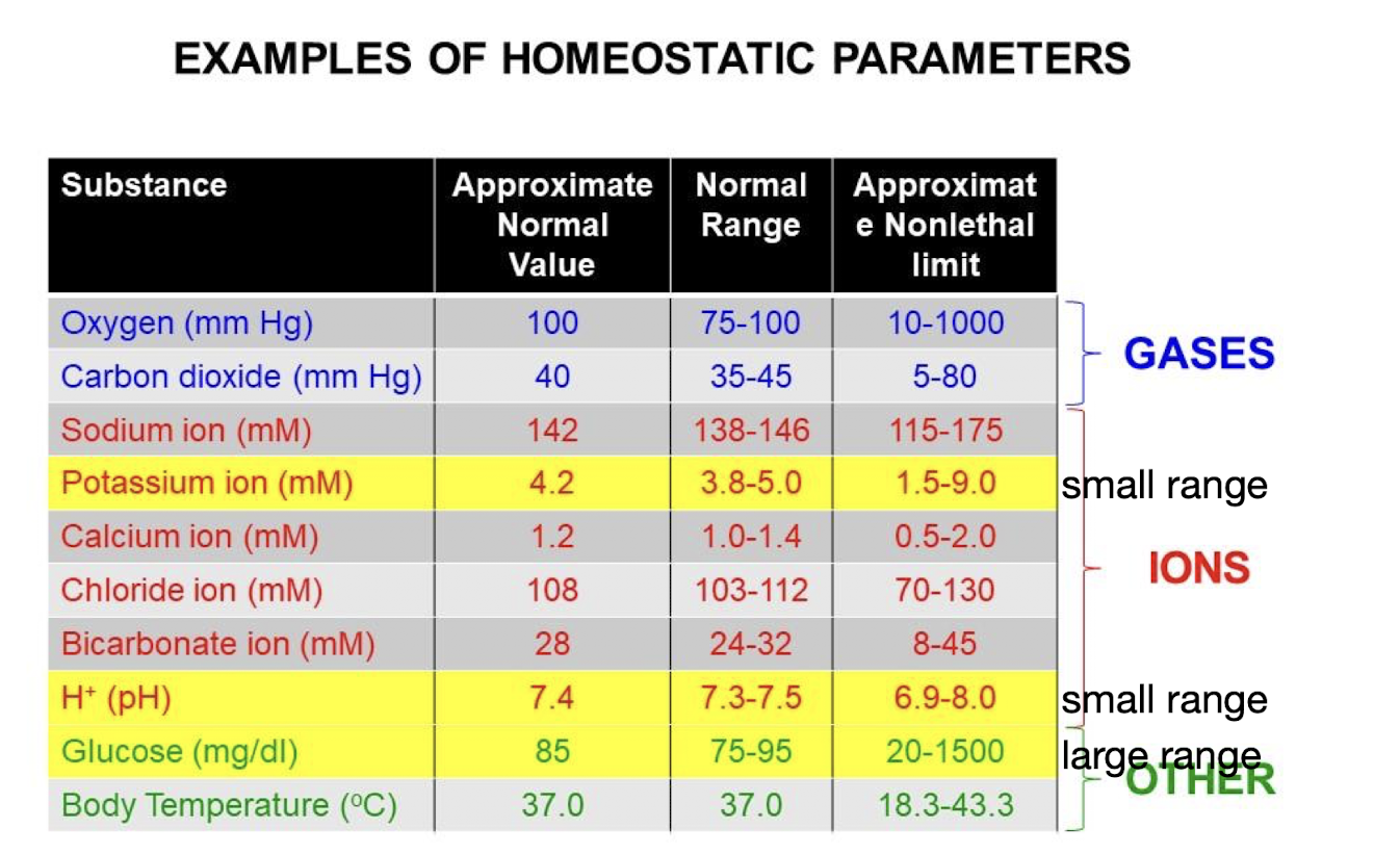 <p>O2, CO2, Sodium ions, Potassium ions, Calcium ions, Chloride ions, Bicarbonate ions, H+, Glucose, Body Temperature.</p><p>Some substances (Potassium/H+) are tightly regulated, while others (Glucose) are not so tightly regulated.</p>