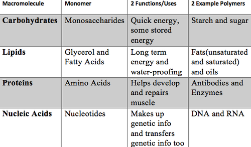 ~ Monosaccharides- Glucose, galactose 
~ Nucleotides 
~ amino acid 
~ fatty acid or glycerol