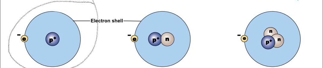 <p>A typical hydrogen nucleus contains a proton and no neutrons, mass number:1</p>