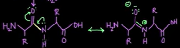 <p>the nitrogens electrons can be delocalized to the carbonyl oxygen forming a double bond</p>