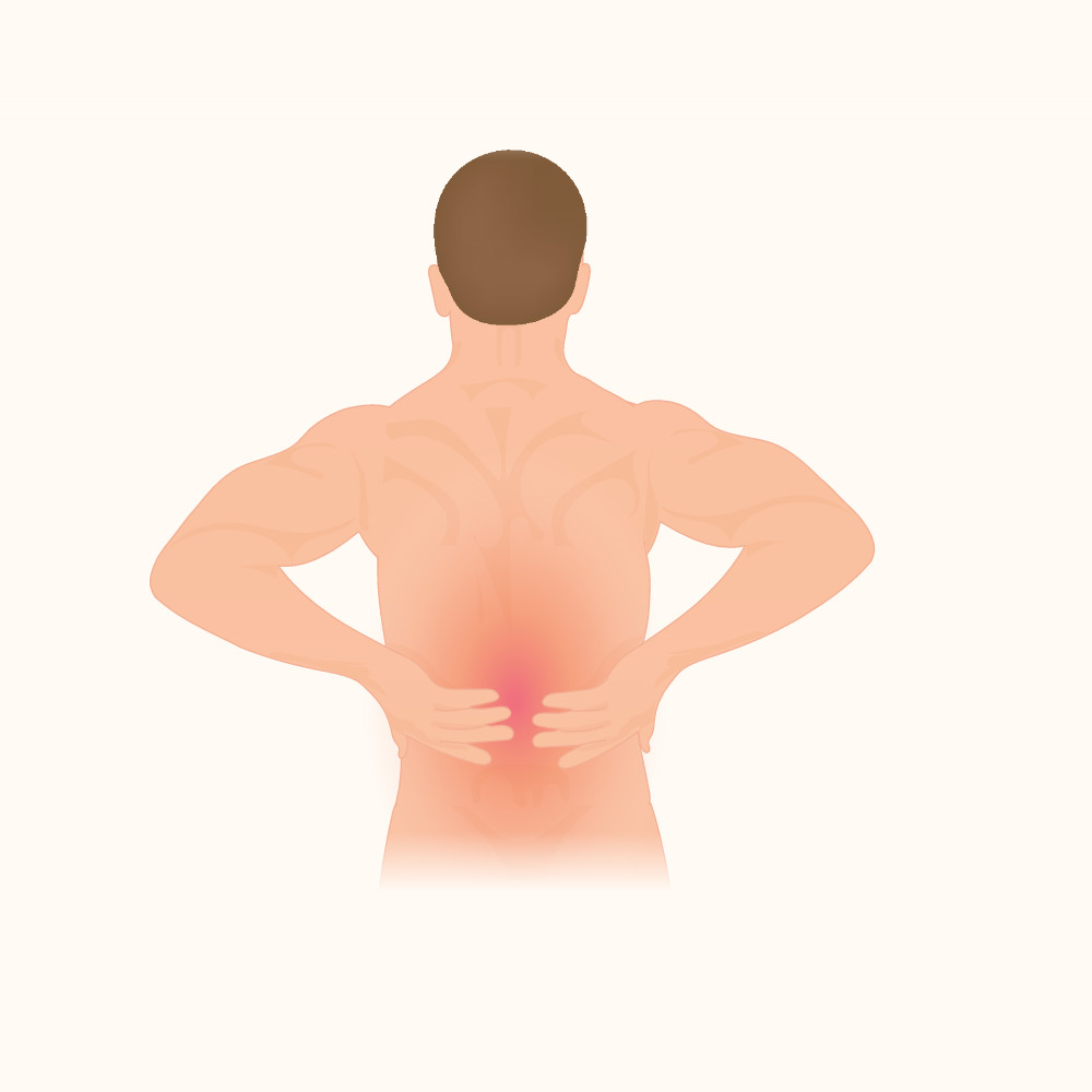<p>Posterior</p>