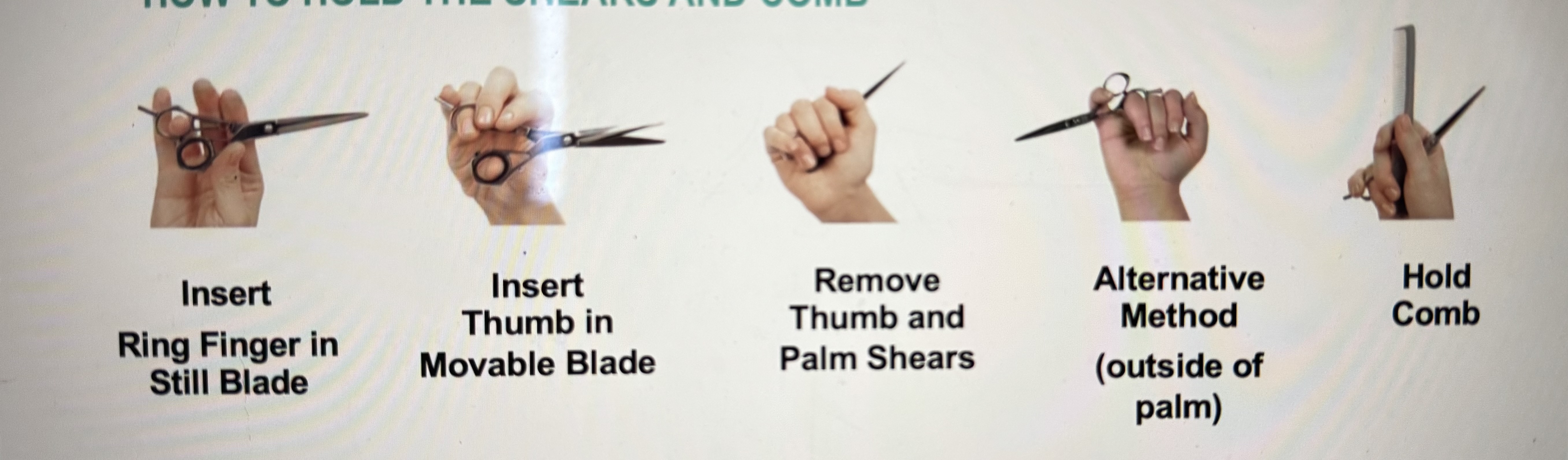 <p>how to hold the shears and comb</p>