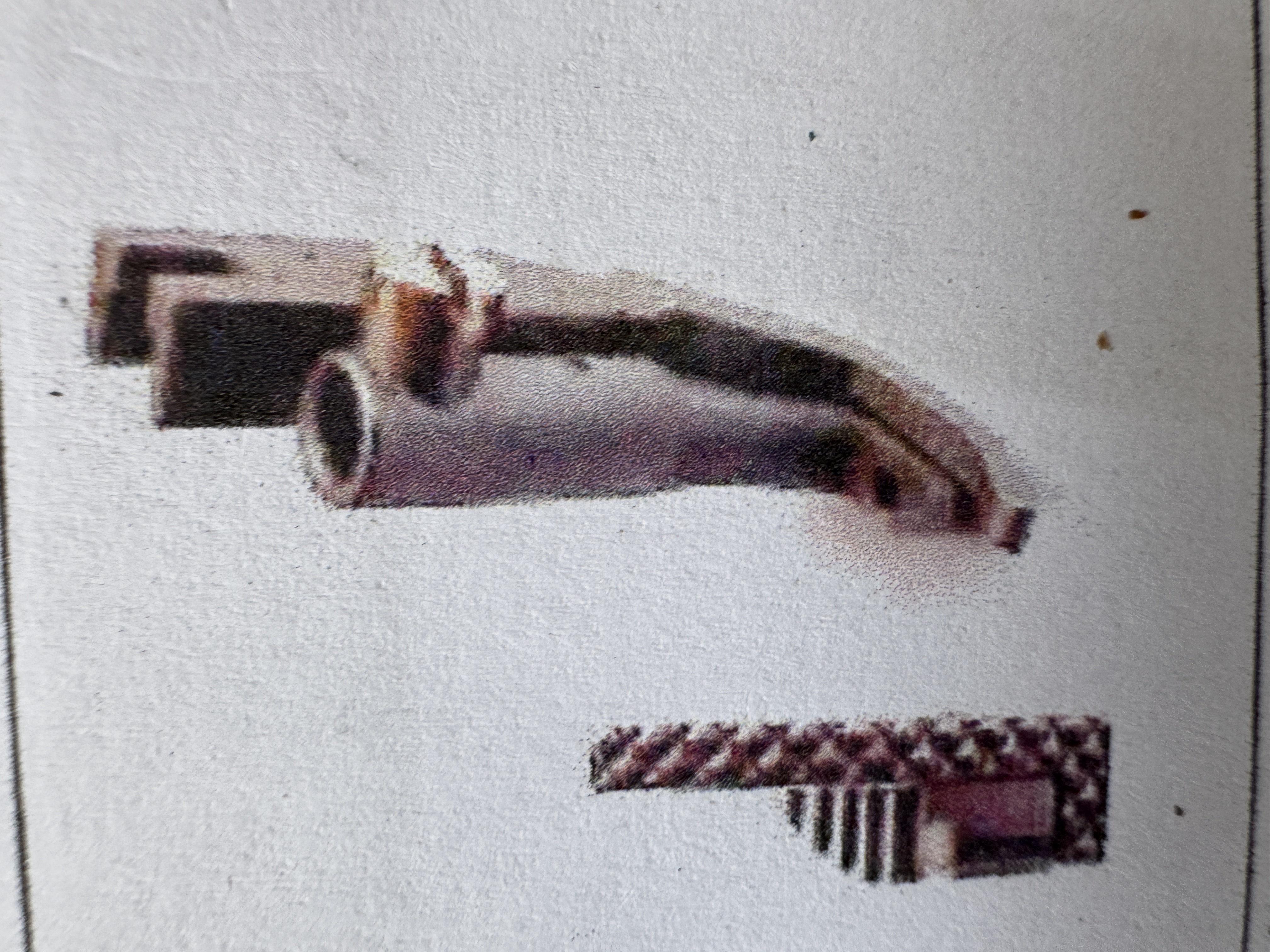 term image