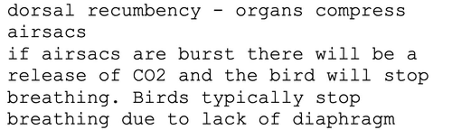 <p>CO2 release makes birds stop breathing</p><p>lack of diaphragm makes them stop breathing</p><p>dorsal recumbancy - organs compress airsacs</p><p>if they burst CO2 is released</p>