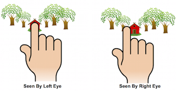 <p><strong><u>Visual organization and interpretation (Mod 19)</u></strong></p><p> By comparing retinal images from the 2 eyes, the brain computes distance—the greater the difference between 2 images, the closer the object</p>