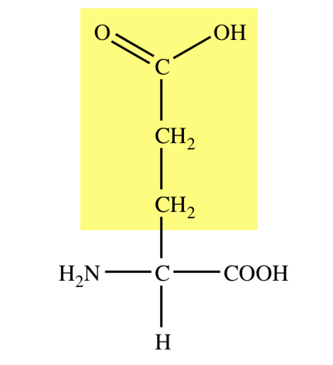 GAMMA-CARBOCYLIC ACID R GROUP