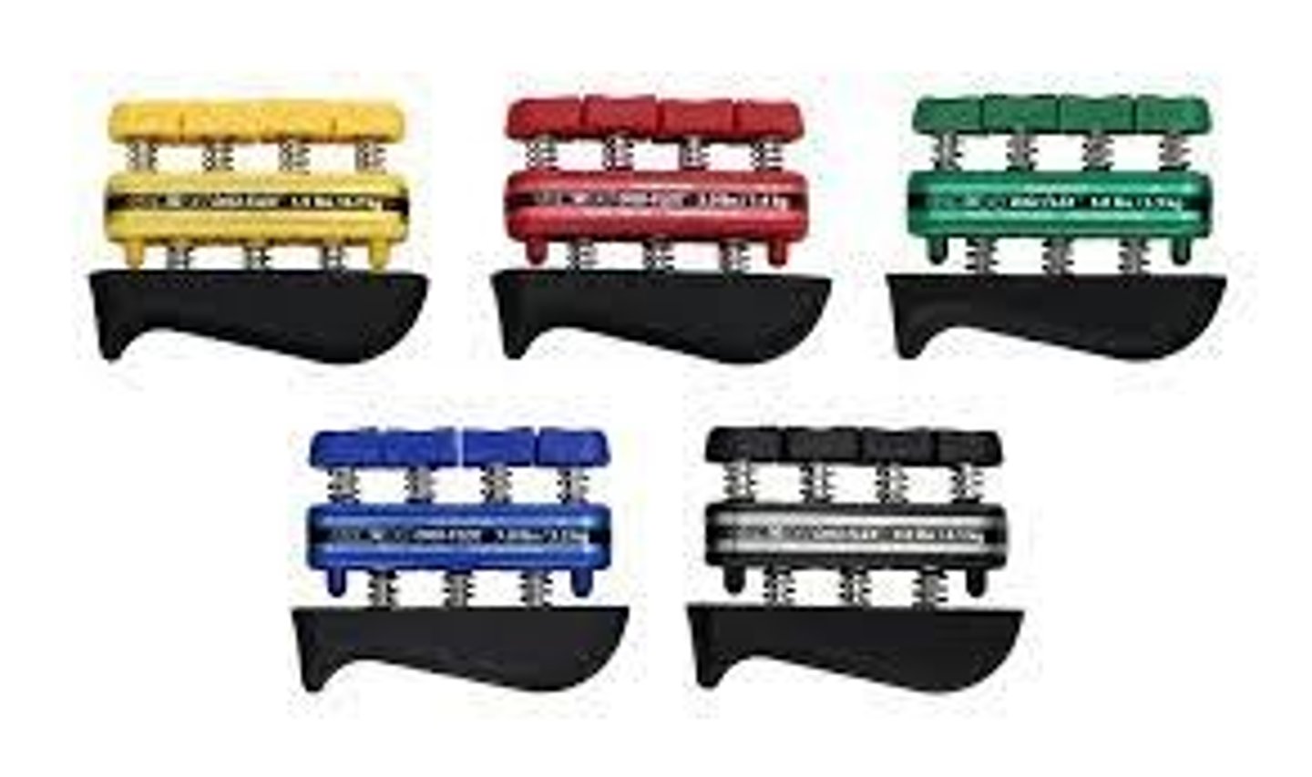 <p>Yellow</p><p>Red</p><p>Green</p><p>Blue</p><p>Black</p>