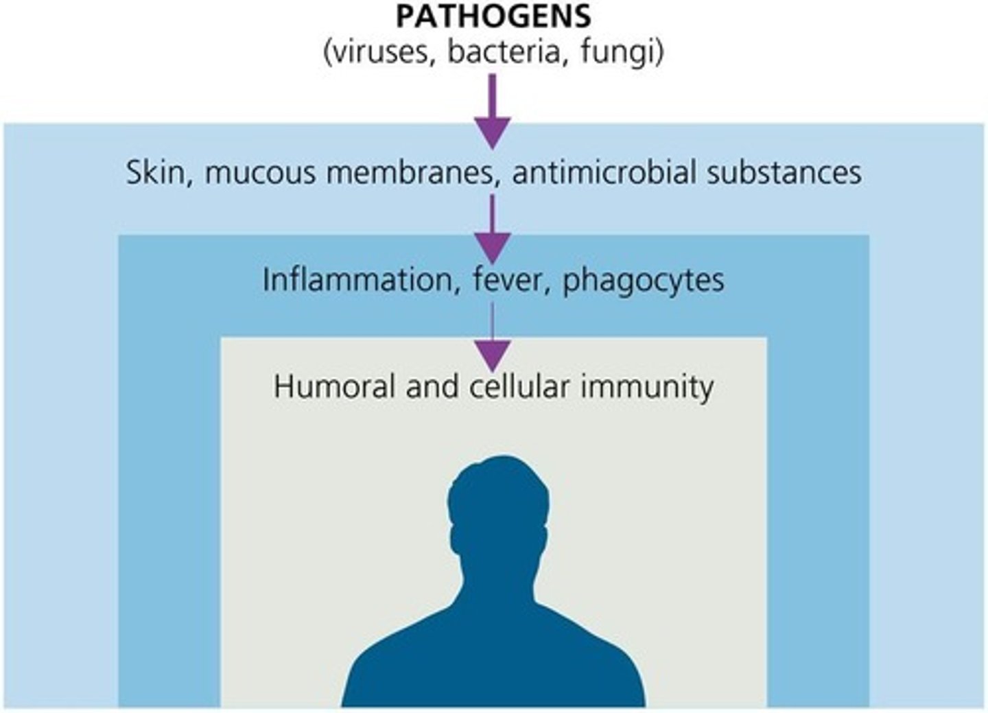 <p>Intact skin, mucous membranes and their secretions, normal microbiota (barriers)</p>