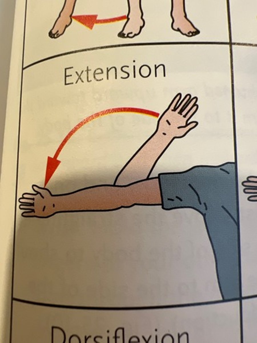 <p>Straightening of a joint</p>