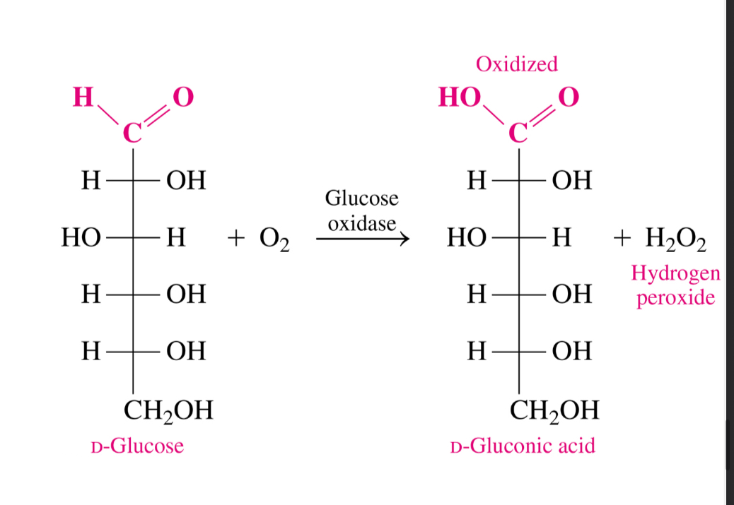 <p>1- Monos. Are mostly found in cyclic forms in solutions but the small amount of the open chain form can be oxidized</p><p>2-have an aleyhe group with adjacent hydroxyl group that can be oxidized to carboxylic acid</p>