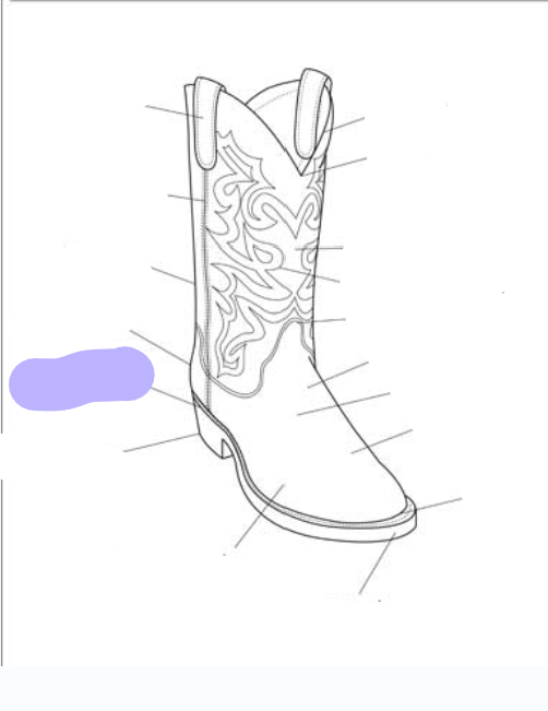 <p>What part of the boot is this? (labeled in purple)</p>
